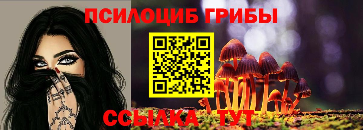 Унеча  Галлюциногенные грибы GOLDEN TEACHER  Псилоцибиновые грибы MAGIC MUSHROOMS  Вход с VPN 